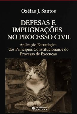 Defesas e Impugnações no Processo Civil: Aplicação Estratégica dos Princípios Constitucionais e do Processo de Execução